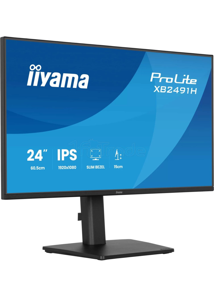 Écran 24" Iiyama ProLite XB2491H-B1 Full HD 120Hz (Noir)